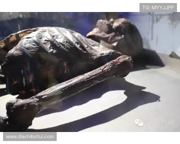 寻宝黄金城传说揭秘:古老传说背后的黄金城秘密等待你来发现 寻宝黄金城传说揭秘:古老传说背后的黄金城秘密等待你来发现