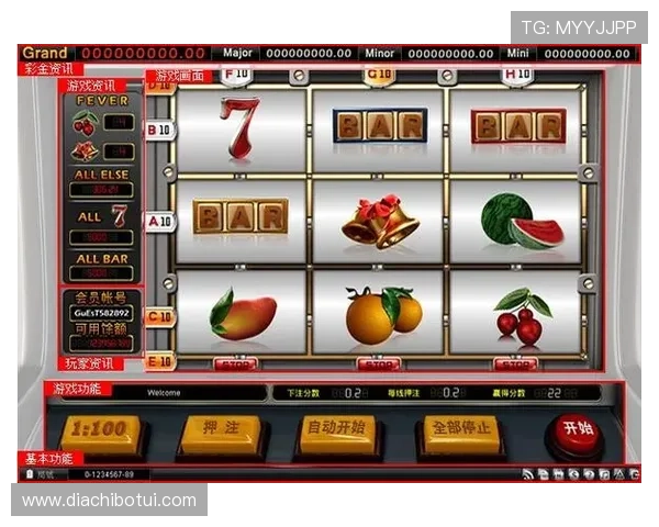 赌场的老虎机有哪些类型，视频老虎机的创新设计与玩法解析